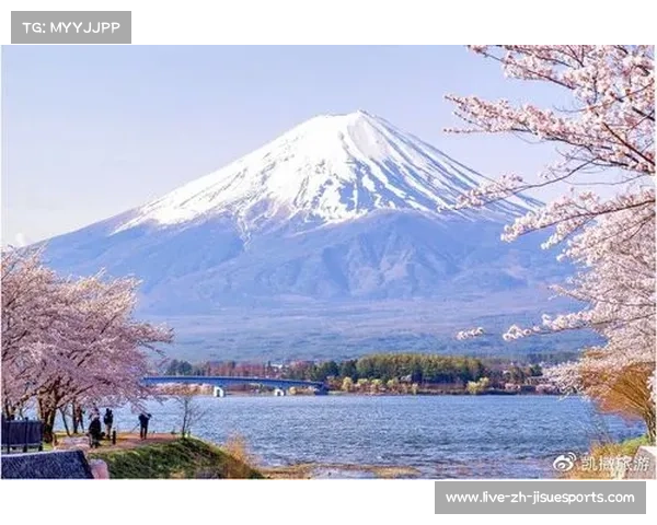 2020东京奥运会票务指南如何顺利购买门票及注意事项解析